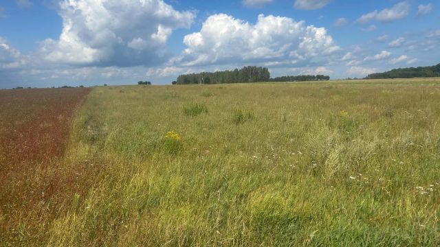 Działka rolna Pałecznica. Zdjęcie 1