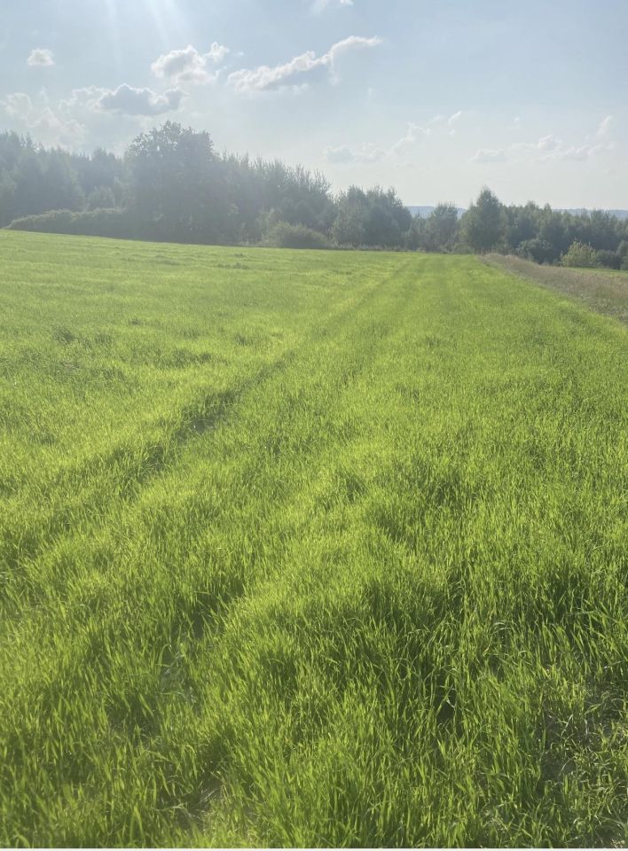 Działka rolna Szeligi Szeligi Górne, Szeligi. Zdjęcie 6