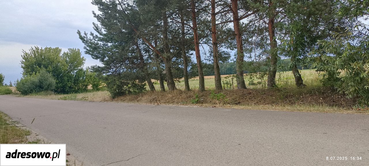 Działka rolno-budowlana Grabowiec. Zdjęcie 2