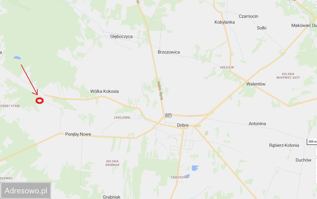 Działka rolna Wólka Kokosia. Zdjęcie 5