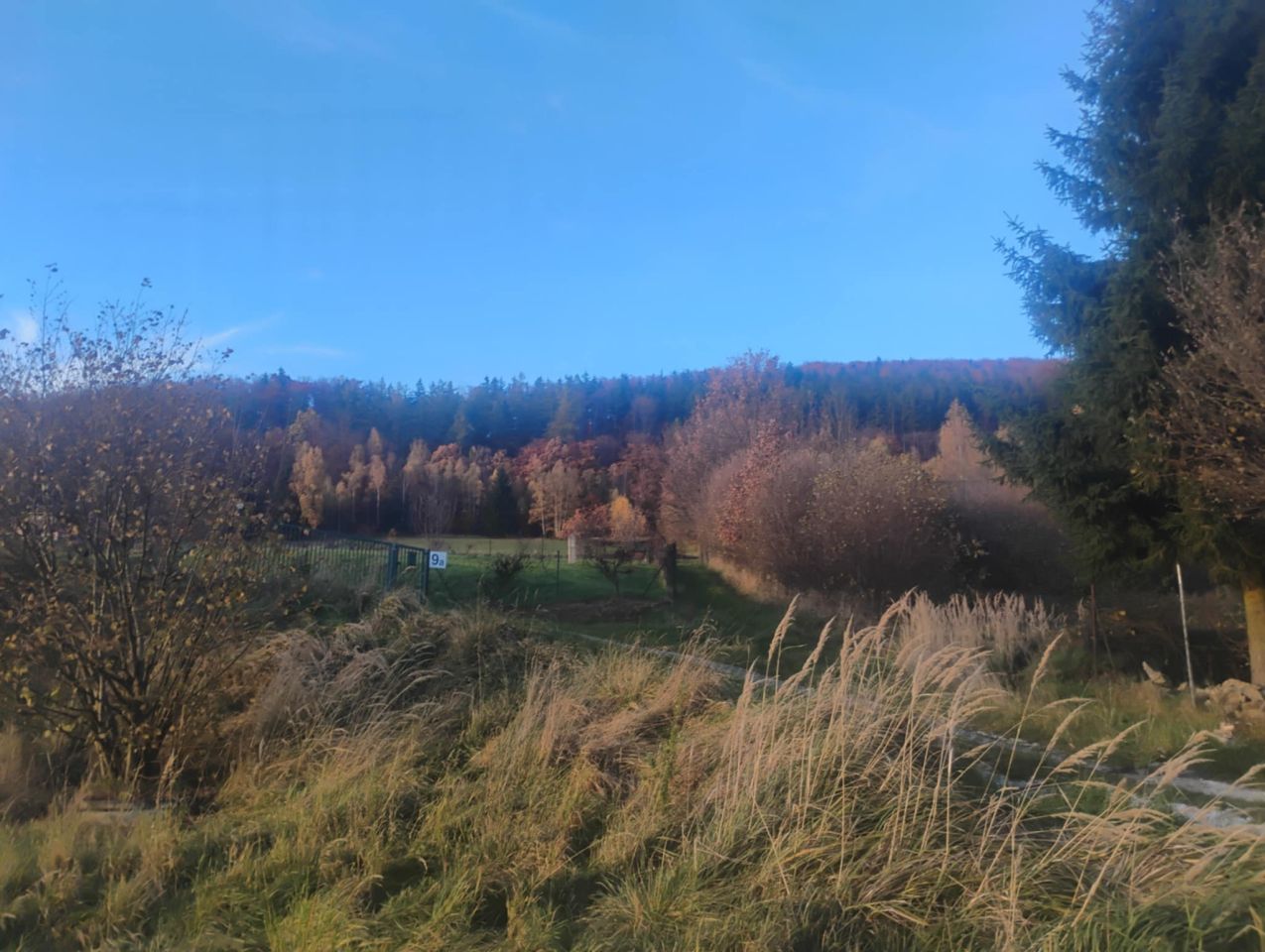 Działka budowlana Radochów. Zdjęcie 4