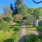 Działka rod Elbląg, ul. Marymoncka. Zdjęcie 1