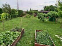 Działka rod Ostrów Wielkopolski, ul. Strzelecka. Zdjęcie 1