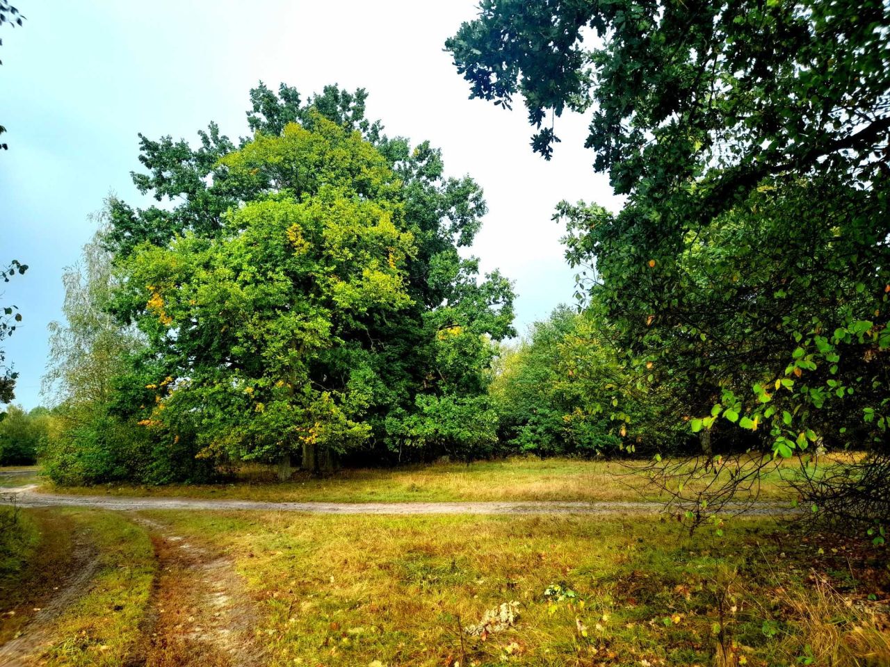 Działka budowlana Kropiwki. Zdjęcie 4