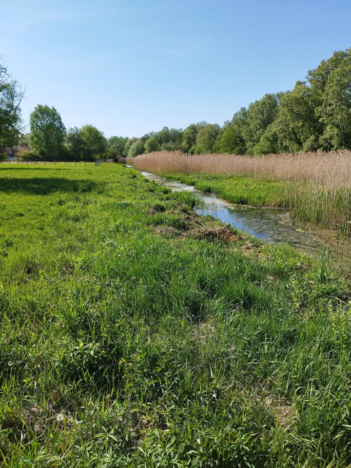 Działka budowlana Warszawa Wilanów, ul. Ruczaj. Zdjęcie 9