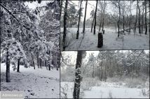 dom wolnostojący, 6 pokoi Zawiercie. Zdjęcie 1