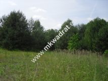 Działka siedliskowa Wola Pękoszewska. Zdjęcie 4