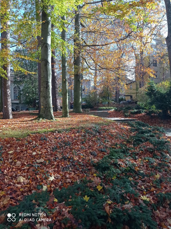 Mieszkanie 3-pokojowe Lądek-Zdrój, ul. Przechodnia. Zdjęcie 17