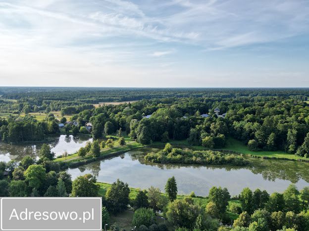 Lokal Białowieża. Zdjęcie 17