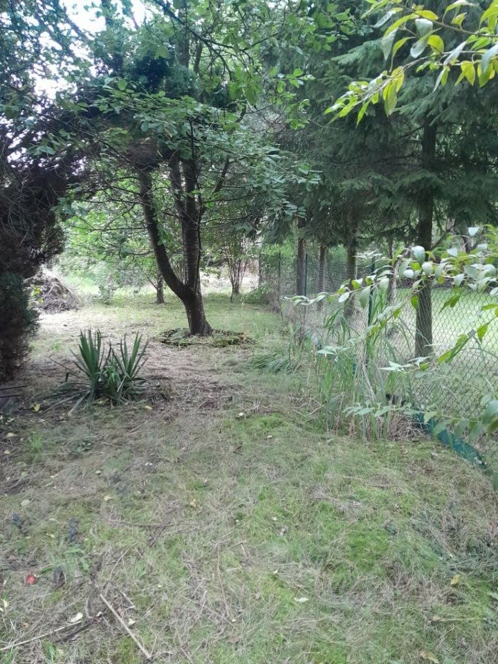 Działka rod Gierałtowice. Zdjęcie 4