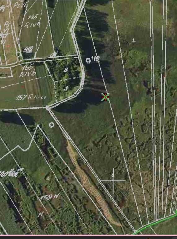 Działka rolna Gorysławice. Zdjęcie 3