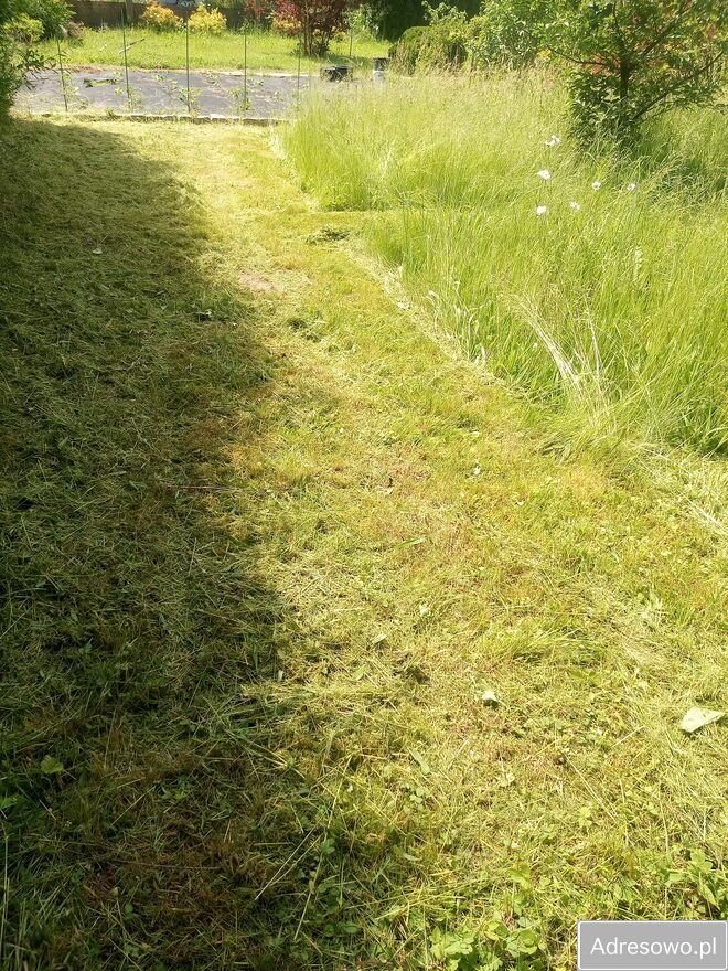 Działka rod Prudnik. Zdjęcie 4