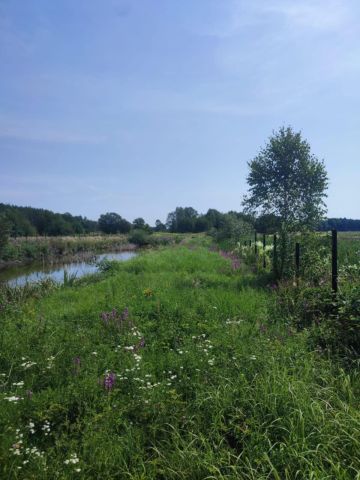 Działka budowlana Będzyn. Zdjęcie 1