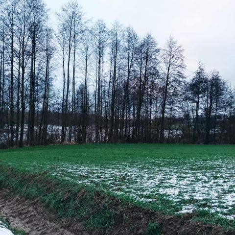 Działka rolna Włościbórz. Zdjęcie 1