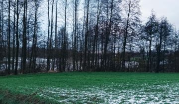 Działka rolna Włościbórz