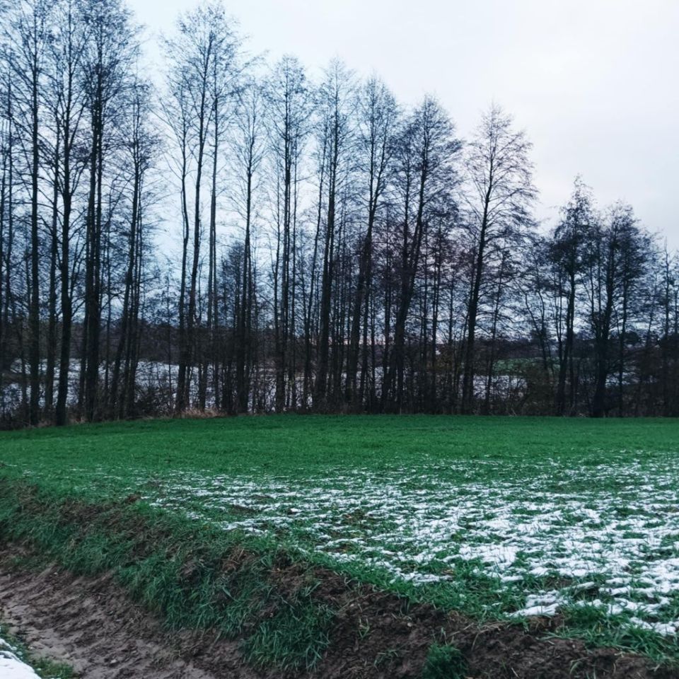 Działka rolna Włościbórz