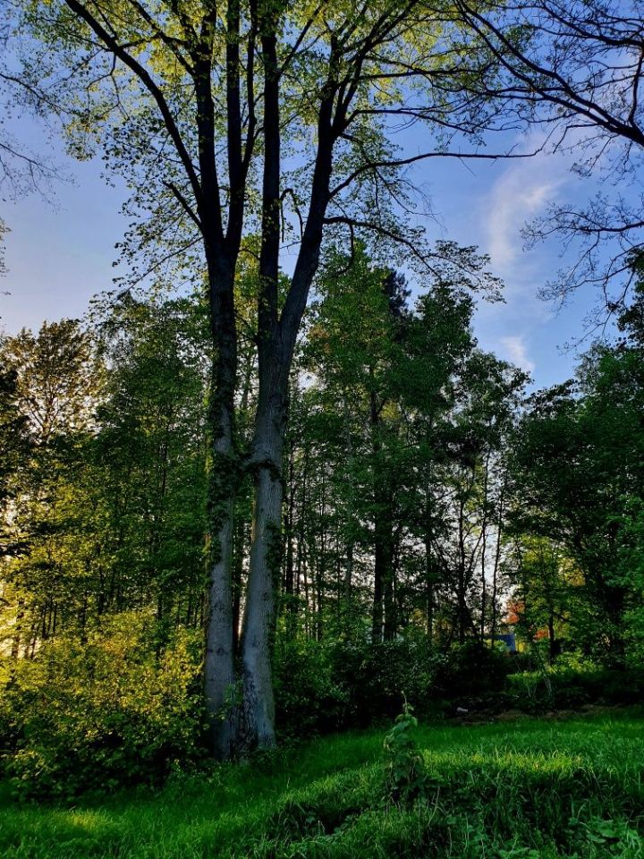 Działka budowlana Rydzynki. Zdjęcie 4