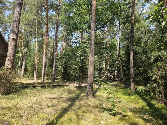 Działka leśna Osiedle Wilga, ul. Lipowa. Zdjęcie 9