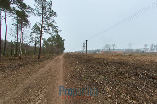 Działka budowlana Opaleniec. Zdjęcie 3