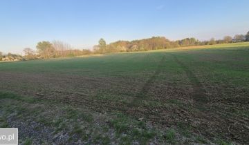 Działka rolna Wielichowo