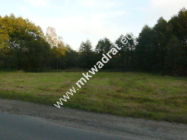 Działka budowlana Słubica B. Zdjęcie 3