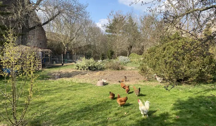 dom wolnostojący, 6 pokoi Kotowice, ul. Rubinowa