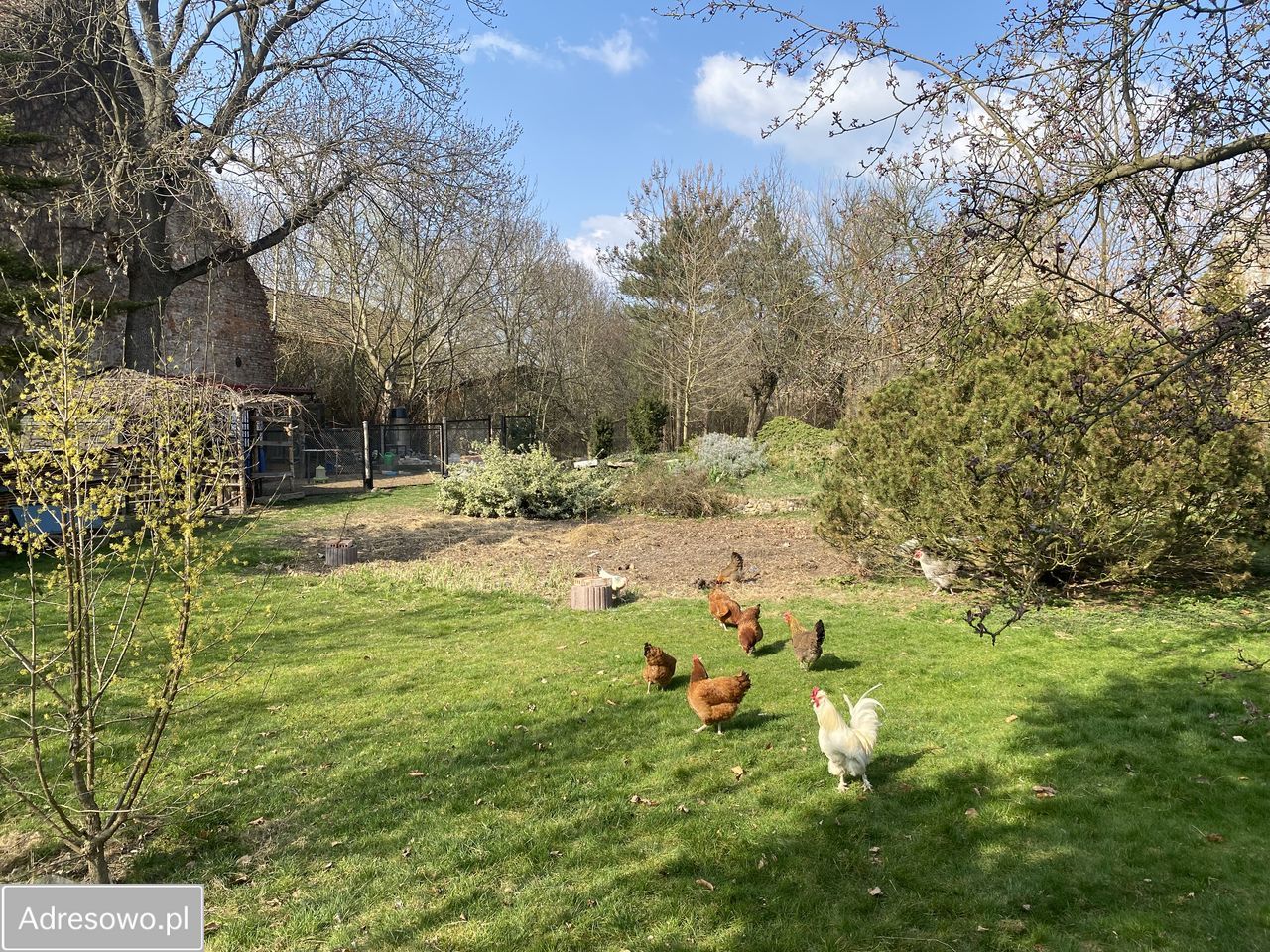 dom wolnostojący, 6 pokoi Kotowice. Zdjęcie 8