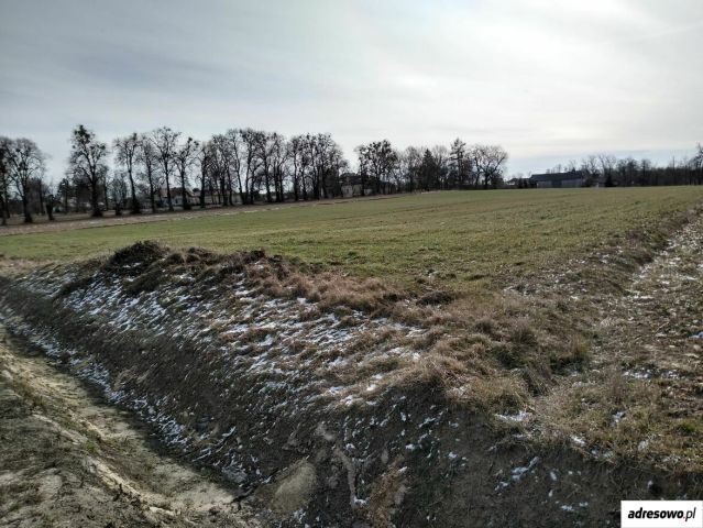 Działka Staw Noakowski. Zdjęcie 1