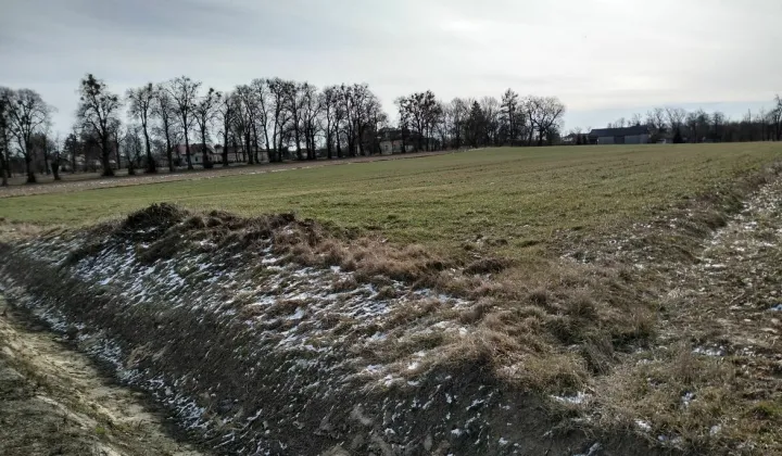 Działka Staw Noakowski