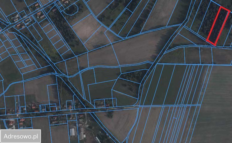 Działka rolna Pokój. Zdjęcie 7