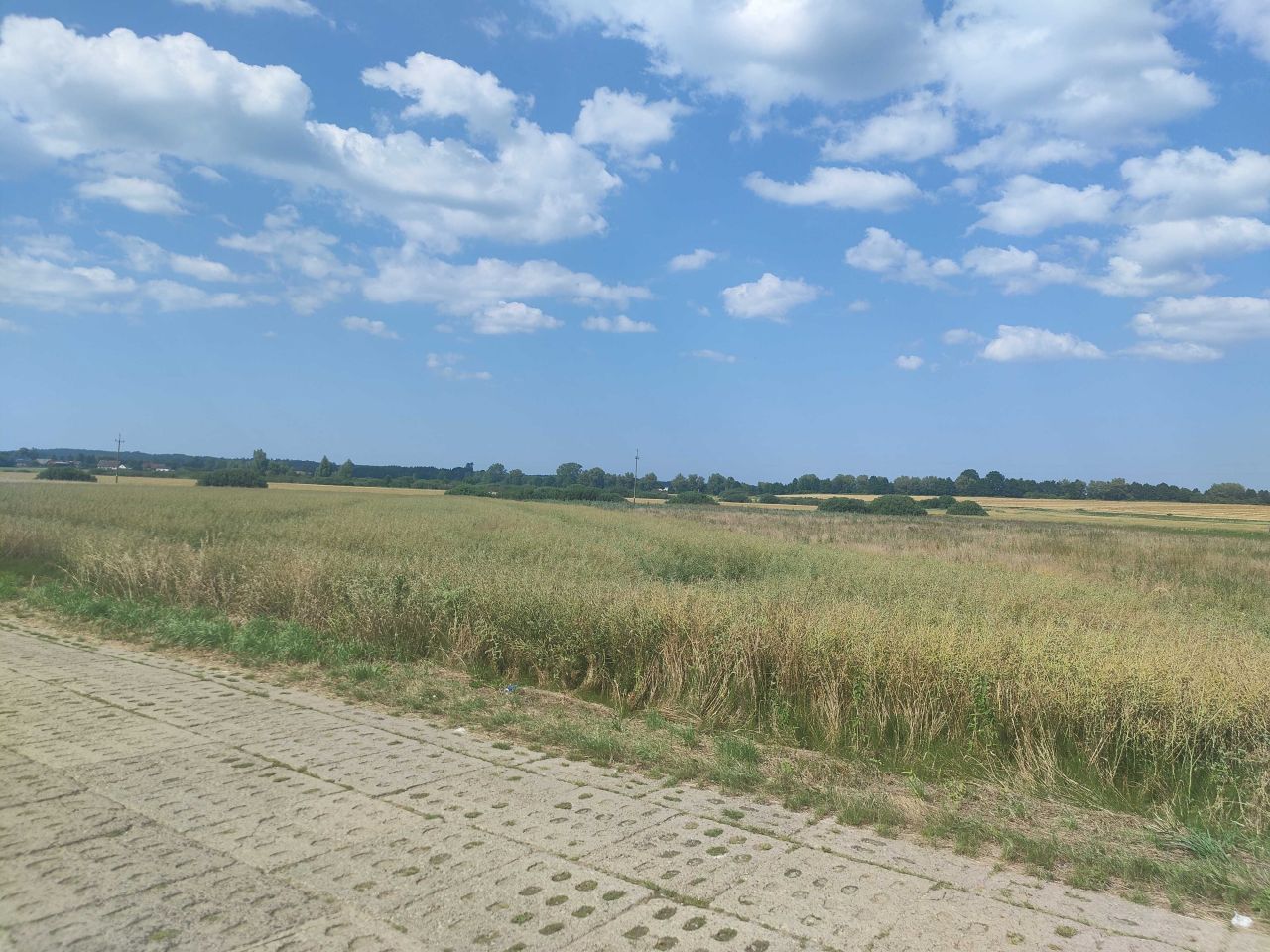 Działka rolna Duninowo. Zdjęcie 3