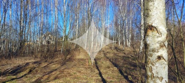 Działka budowlana Różnowo. Zdjęcie 4