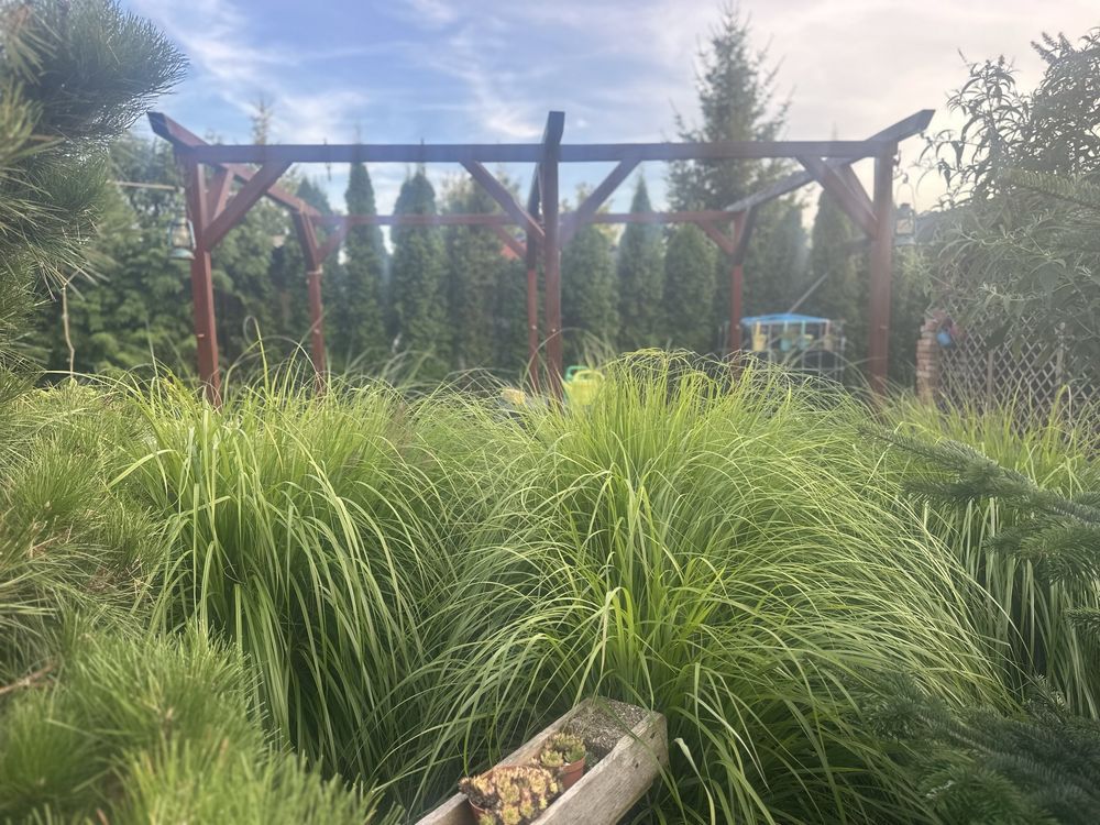 Działka rod Opalenica, ul. Parkowa. Zdjęcie 8