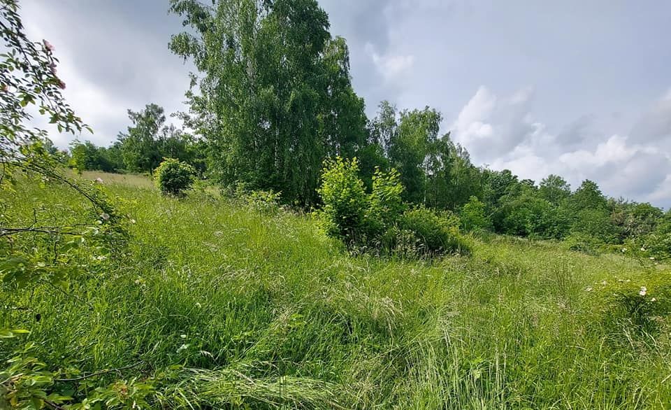 Działka budowlana Lutomia Górna. Zdjęcie 2