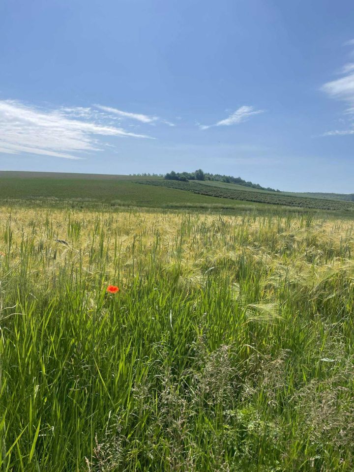dom wolnostojący, 3 pokoje Siennów. Zdjęcie 7