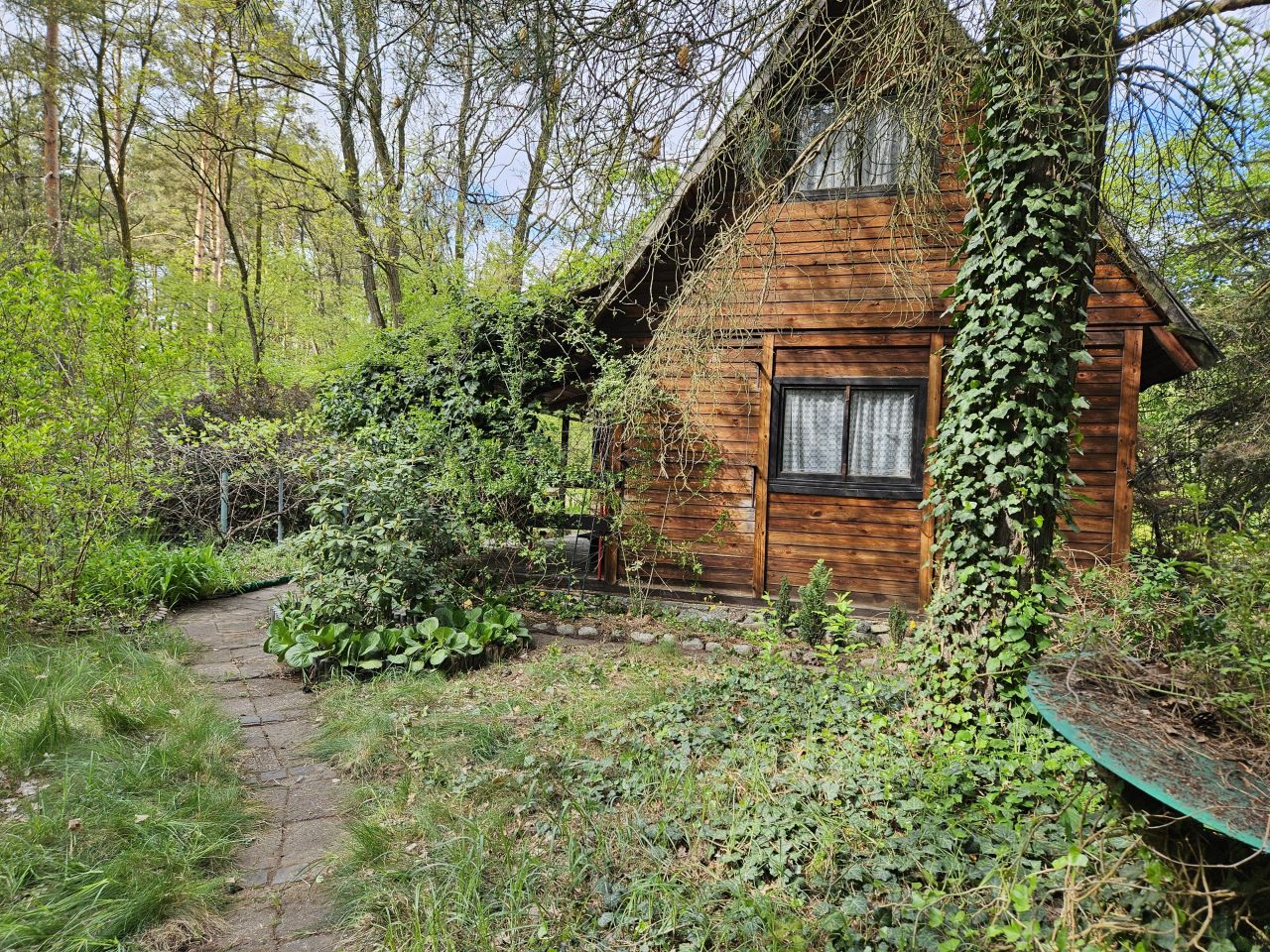 Działka rekreacyjna Warszawa Wawer, ul. Fromborska