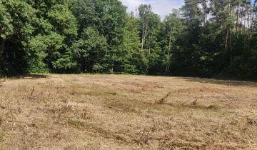 Działka rolno-budowlana Chachalnia, ul. Ostrowska