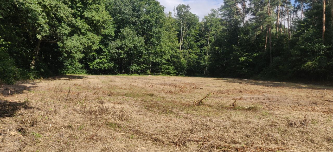 Działka rolno-budowlana Chachalnia, ul. Ostrowska. Zdjęcie 2