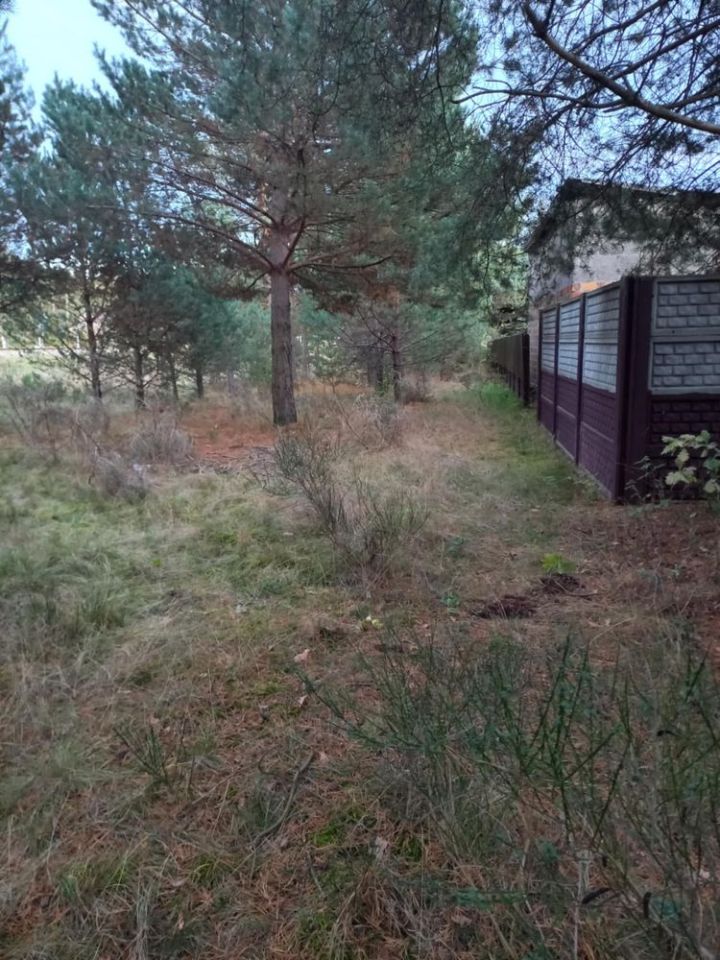 Działka rolna Górki