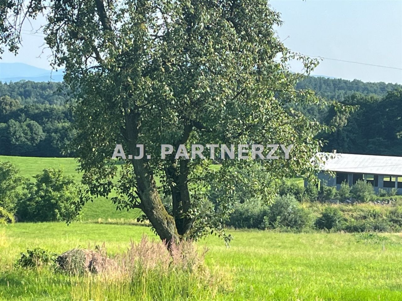 Działka budowlana Grajów. Zdjęcie 7