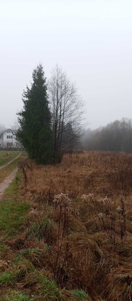 Działka budowlana Joanin. Zdjęcie 3