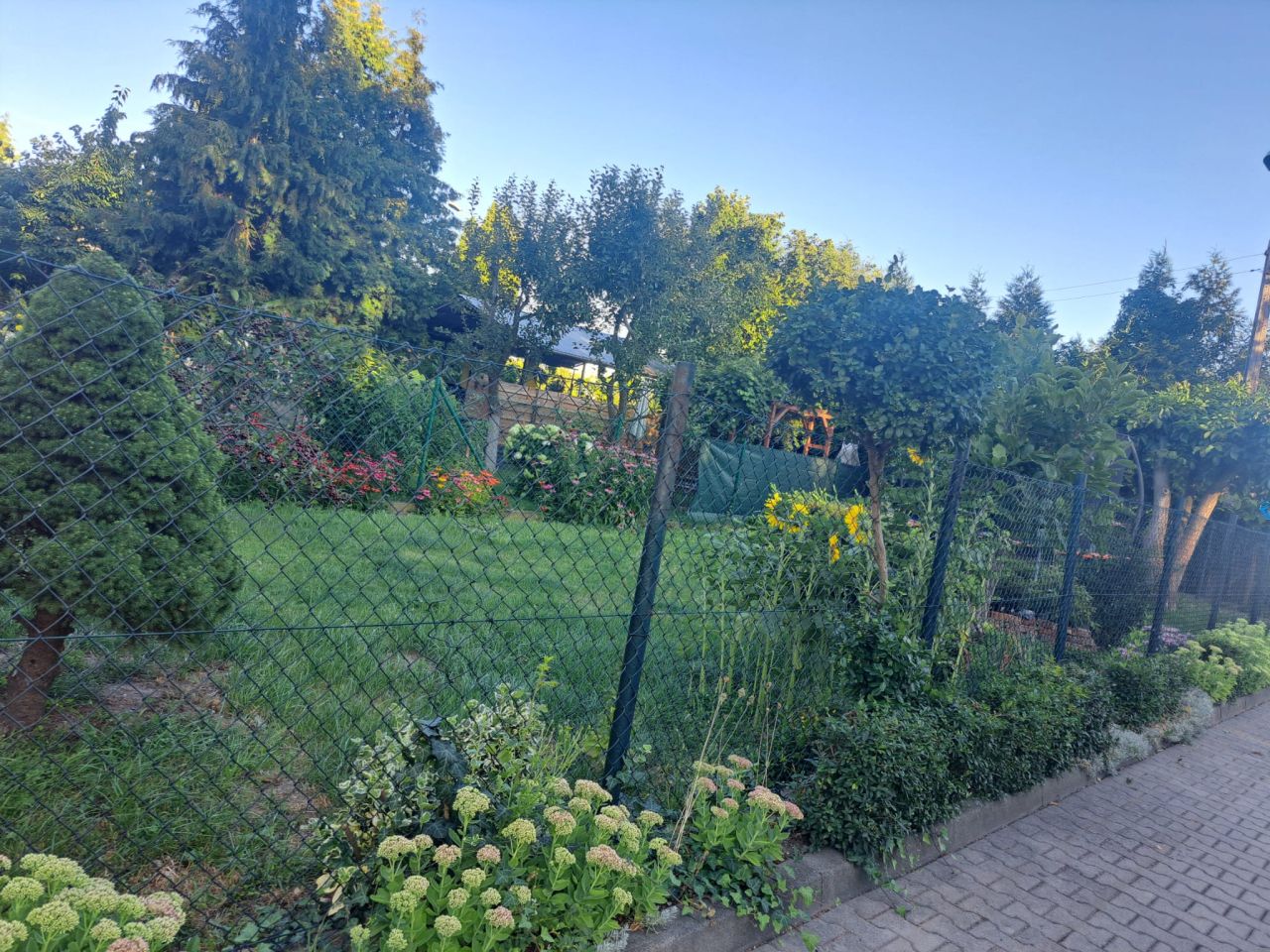 dom szeregowy, 5 pokoi Oleśnica Lucień, ul. Tadeusza Rejtana. Zdjęcie 3