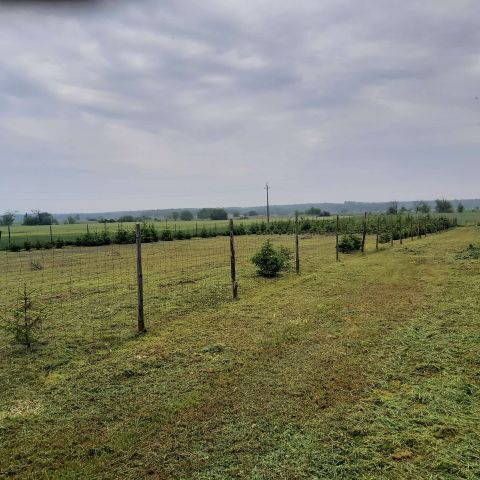 Działka rolno-budowlana Jawidz. Zdjęcie 3