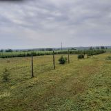 Działka rolno-budowlana Jawidz. Zdjęcie 2