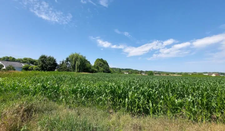 Działka budowlana Piekary Śląskie Kozłowa Góra, ul. Pod Gajem