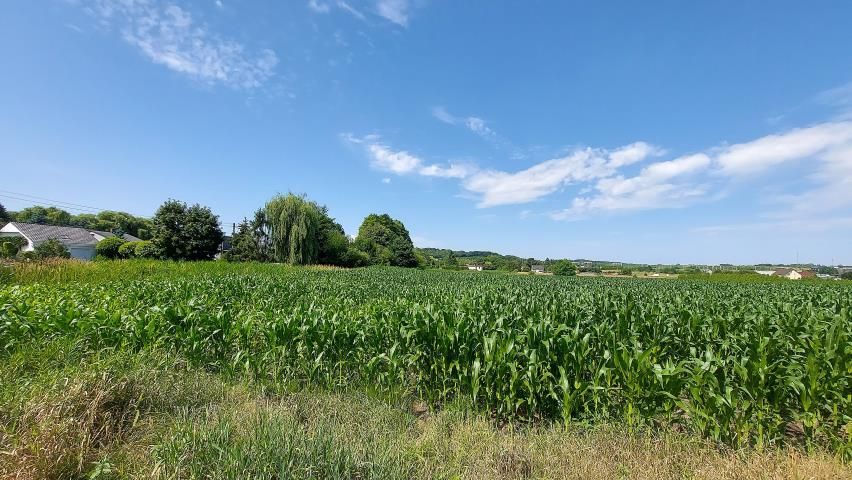 Działka budowlana Piekary Śląskie Kozłowa Góra, ul. Pod Gajem