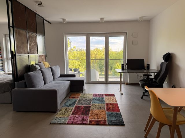 Mieszkanie 2-pokojowe Poznań Wilda, ul. Bielniki. Zdjęcie 1