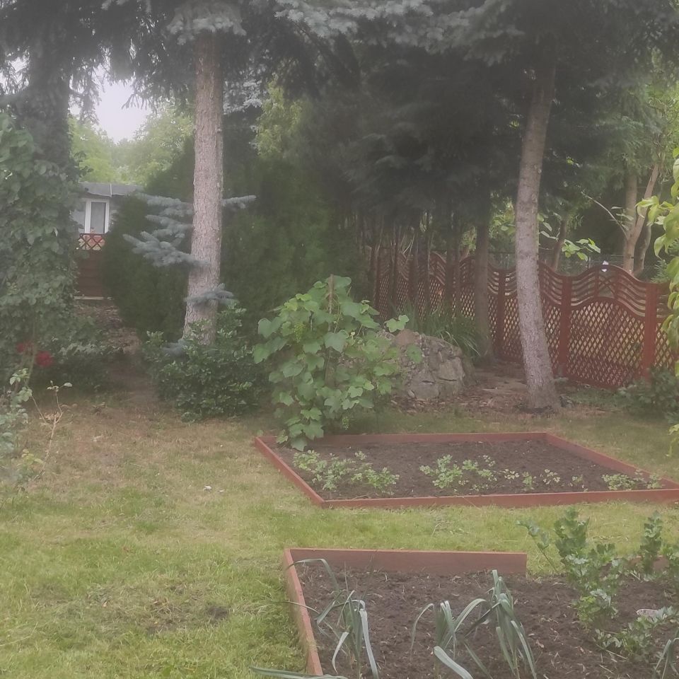 Działka rekreacyjna Słodków. Zdjęcie 12