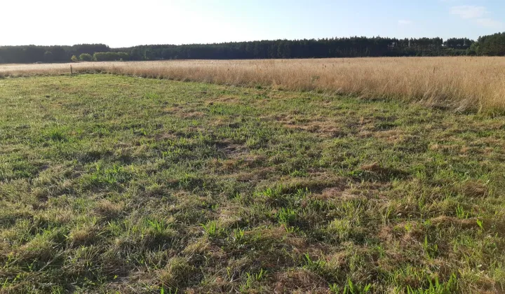 Działka budowlana Zielin Górny