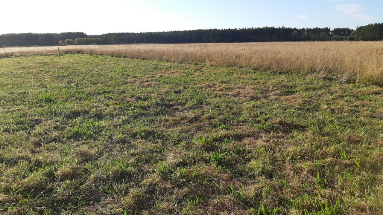 Działka budowlana Zielin Górny. Zdjęcie 1